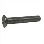 #189- 1 in. Chrome Oval Head Screw